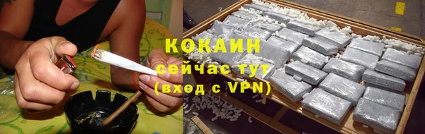 винт Козловка