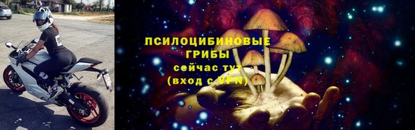 винт Козловка