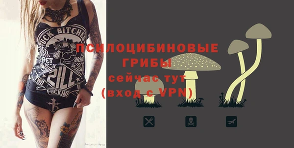 винт Козловка