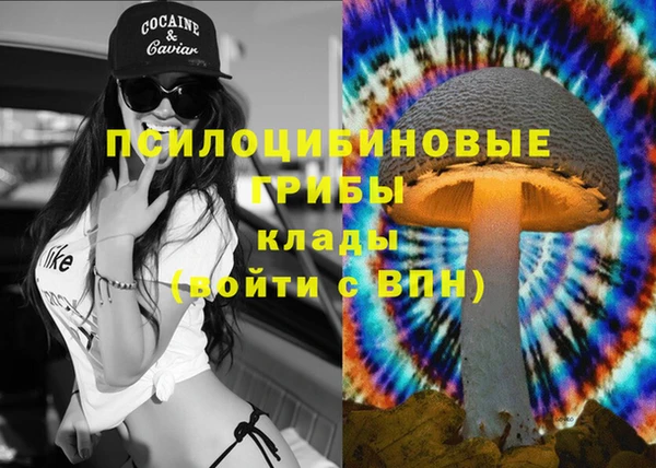 винт Козловка