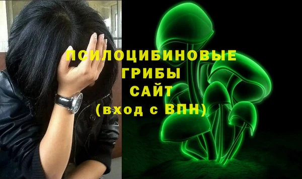 винт Козловка