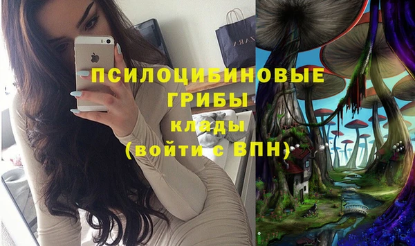 винт Козловка